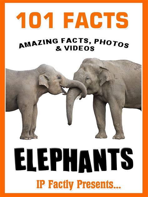 101 facts elephants elephant book for kids 101 animal facts 21 Kindle Editon